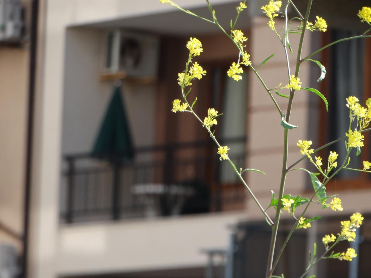 Lora Boutique Apartment Pomorie Bagian luar foto
